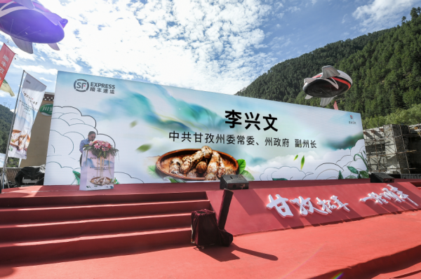 大疆無人機(jī)助力松茸出山  攜手甘孜政府助推松茸產(chǎn)業(yè)升級